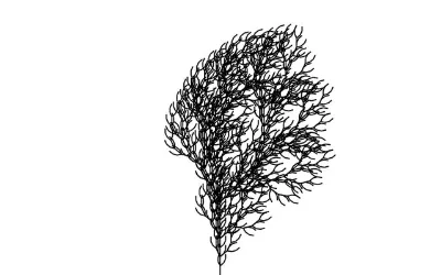 L-system