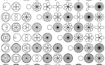 Mathematical Rose Patterns